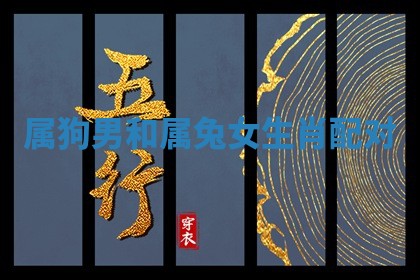 2025年11月09日今日财神方位,财神方位详解
