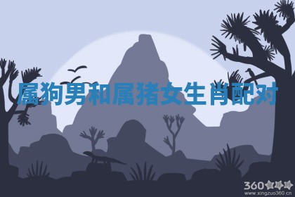 2025年11月08日打麻将财神在哪个方位,每日查询
