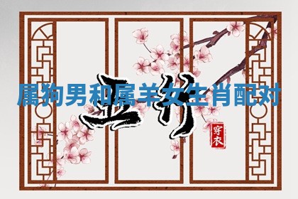 2025年11月09日今日财神方位,财神方位详解