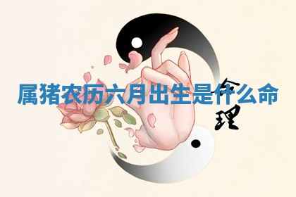 2025年11月08日打麻将财神在哪个方位,每日查询