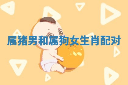 2025年11月09日今日财神方位,财神方位详解