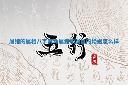 2025年11月08日打麻将财神在哪个方位,每日查询