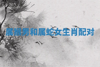2025年11月08日打麻将财神在哪个方位,每日查询