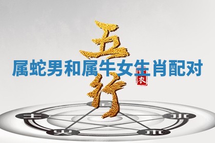 2025年11月08日打麻将财神在哪个方位,每日查询