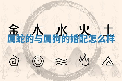 2025年11月08日打麻将财神在哪个方位,每日查询