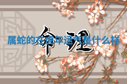 2025年11月08日打麻将财神在哪个方位,每日查询