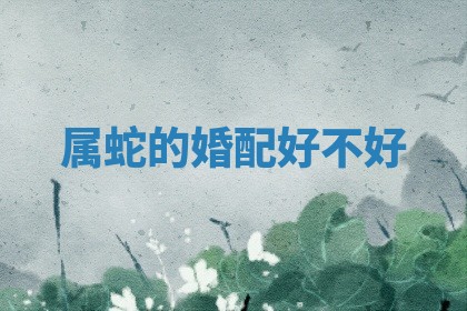 2025年11月08日打麻将财神在哪个方位,每日查询