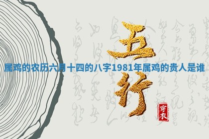 2025年11月08日打麻将财神在哪个方位,每日查询
