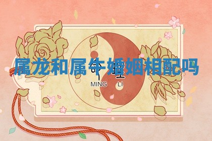 2025年11月06日打麻将财神朝向详解