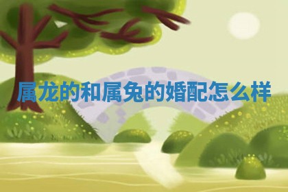 2025年11月09日今日财神方位,财神方位详解
