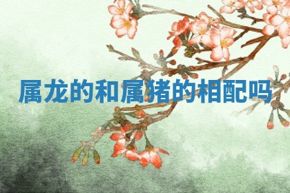 2025年11月09日今日财神方位,财神方位详解
