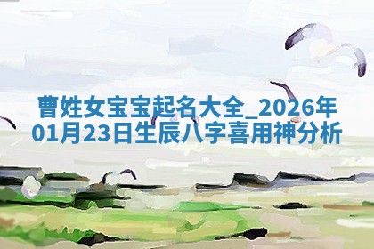 2026年02月19日萧姓女宝宝起名必读：八字喜忌用字详解