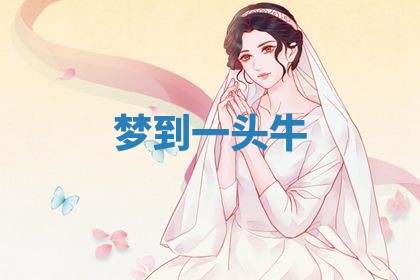 2025年11月09日今日财神方位,财神方位详解