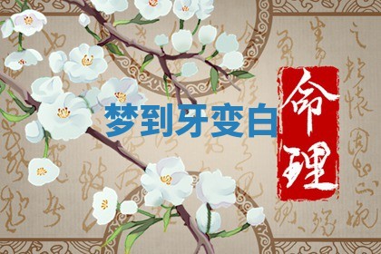 2025年11月08日打麻将财神在哪个方位,每日查询