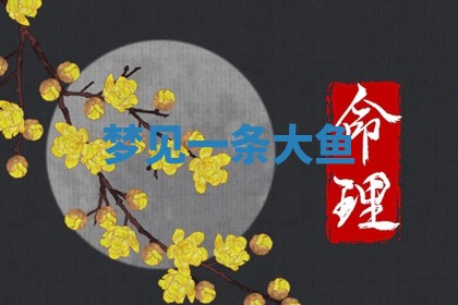 老黄历6月19日：定亲适宜分析,订婚吉日推荐