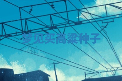 2025年11月08日打麻将财神在哪个方位,每日查询