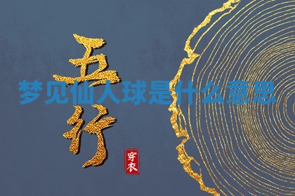 2025年11月08日打麻将财神在哪个方位,每日查询