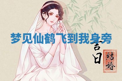2025年11月08日打麻将财神在哪个方位,每日查询
