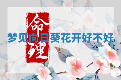 2025年11月08日打麻将财神在哪个方位,每日查询