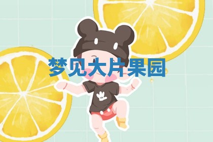 2025年11月08日打麻将财神在哪个方位,每日查询