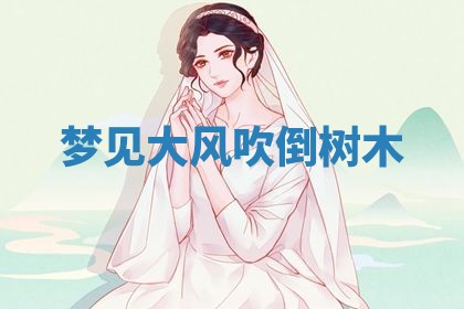 唐姓女宝宝起名大全：2026年03月04日生辰八字喜用神分析