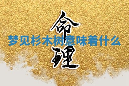 2025年11月05日各时辰财神位置吉位