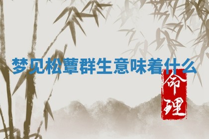 2025年11月08日打麻将财神在哪个方位,每日查询
