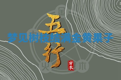 唐姓女宝宝起名大全：2026年03月04日生辰八字喜用神分析