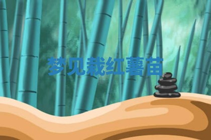 唐姓女宝宝起名大全：2026年03月04日生辰八字喜用神分析