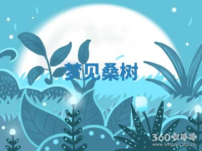 2025年11月08日打麻将财神在哪个方位,每日查询