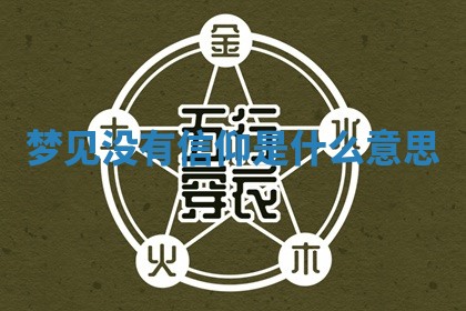 2025年11月08日打麻将财神在哪个方位,每日查询