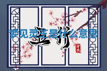 老黄历6月19日：定亲适宜分析,订婚吉日推荐