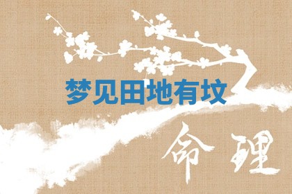 2025年11月08日打麻将财神在哪个方位,每日查询
