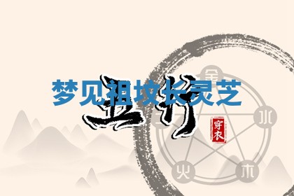 2025年11月08日打麻将财神在哪个方位,每日查询