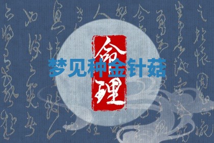 2025年11月08日打麻将财神在哪个方位,每日查询