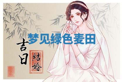 2025年11月08日打麻将财神在哪个方位,每日查询