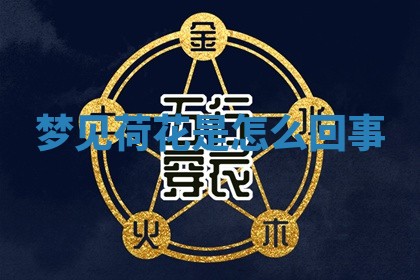 2025年11月08日打麻将财神在哪个方位,每日查询