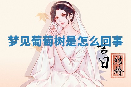 老黄历6月19日：定亲适宜分析,订婚吉日推荐