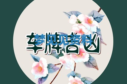 2025年11月08日打麻将财神在哪个方位,每日查询