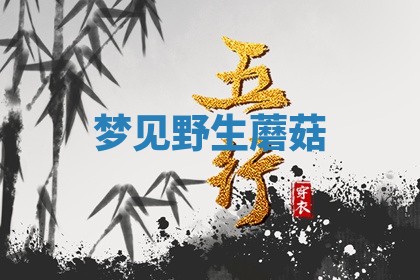 唐姓女宝宝起名大全：2026年03月04日生辰八字喜用神分析