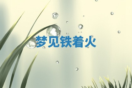 2025年11月08日打麻将财神在哪个方位,每日查询