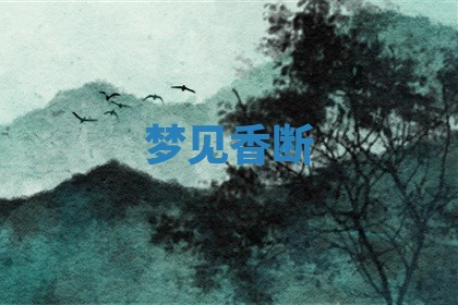 2025年11月08日打麻将财神在哪个方位,每日查询