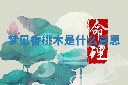 2025年11月05日各时辰财神位置吉位