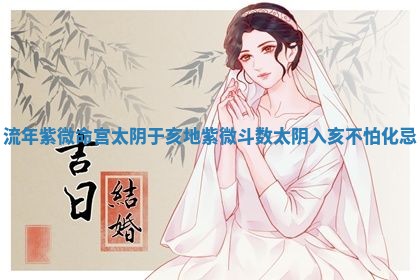 2025年11月08日打麻将财神在哪个方位,每日查询