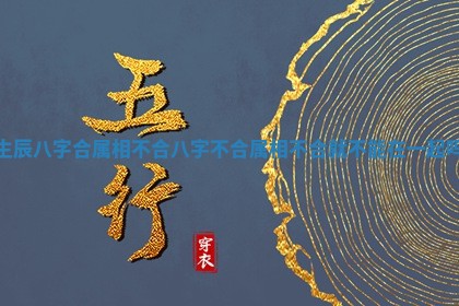 2025年11月08日打麻将财神在哪个方位,每日查询
