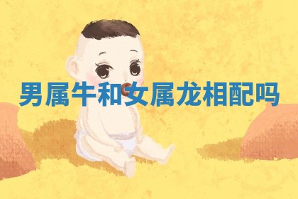 2025年11月06日打麻将财神朝向详解