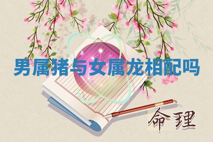 2025年11月06日打麻将财神朝向详解