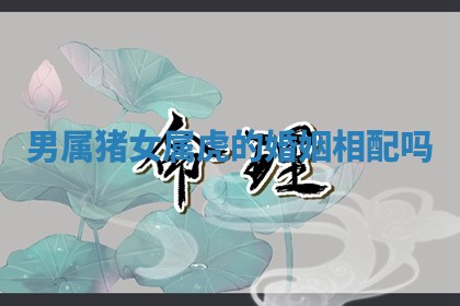 2025年11月06日打麻将财神朝向详解