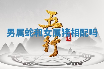 2025年11月06日打麻将财神朝向详解