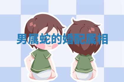 2025年11月09日今日财神方位,财神方位详解